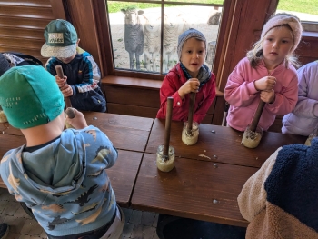 Zdjęcie WhatsApp 2025-09-28 o 20.35.36_5ba7f7a0