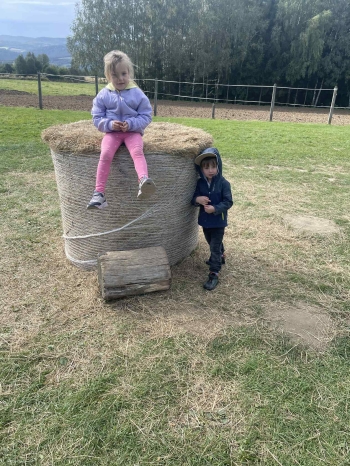 259b079b-928b-4502-99fe-709d4e9a31ff