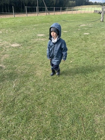 e2d51133-d5cf-4f8d-8bbf-5a4b15d12347