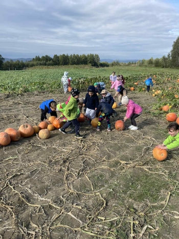 a859f6eb-be92-44b6-ae0e-dd06321697d7