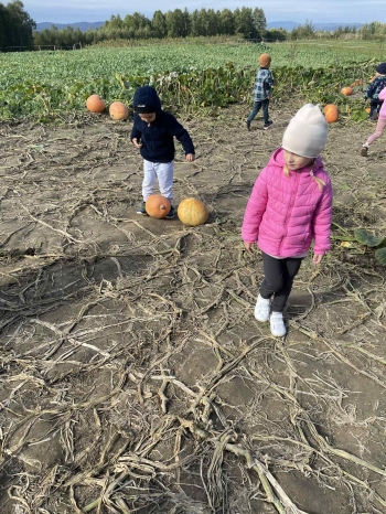 49b8d25f-7c50-43dc-b662-652d47cb973e