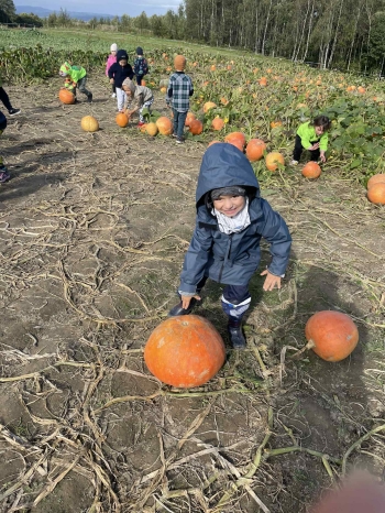 a4841d67-484f-4aac-ac96-4a7616aac5c2