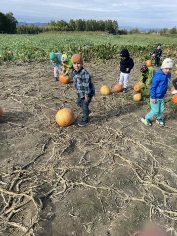 54a2ad41-887d-4572-9c66-b66fbda4f09e