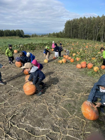 47f1835a-88e7-4c57-9465-2ecf98ed0b28