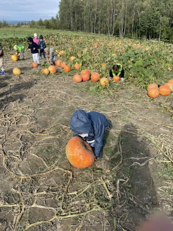 186b35ba-6c5f-4409-a302-7b366e7e2aa8