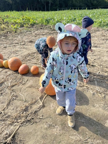 323effe7-0f65-452e-bb17-cc7779858a65