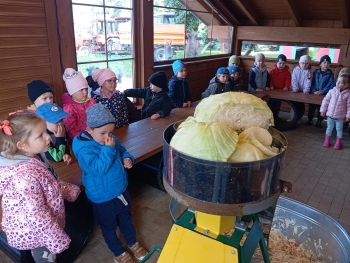 Zdjęcie WhatsApp 2025-09-29 o 07.22.53_dab77eaf