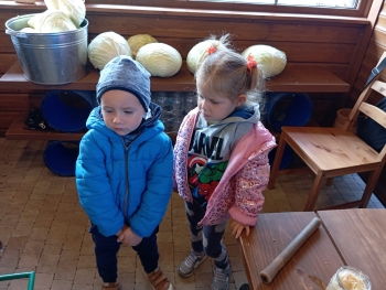 Zdjęcie WhatsApp 2025-09-29 o 07.22.50_9cea6e54