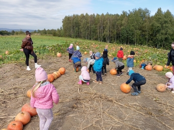 Zdjęcie WhatsApp 2025-09-29 o 07.20.20_40a34f7a