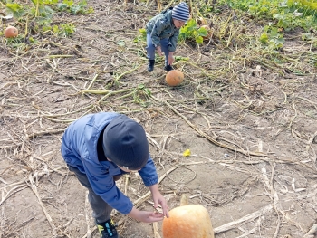 Zdjęcie WhatsApp 2025-09-29 o 07.20.05_008d15d4