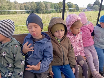 Zdjęcie WhatsApp 2025-09-29 o 07.21.32_cfc30106