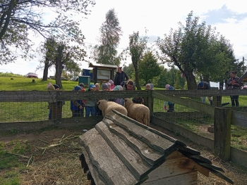 Zdjęcie WhatsApp 2025-09-29 o 07.17.27_51145bd3