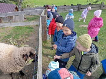 Zdjęcie WhatsApp 2025-09-29 o 07.17.45_eb407203