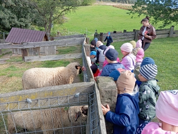 Zdjęcie WhatsApp 2025-09-29 o 07.17.59_8f1ccde1