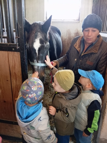 Zdjęcie WhatsApp 2025-09-29 o 07.18.09_97eb6ba7