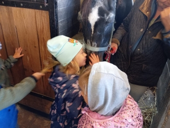 Zdjęcie WhatsApp 2025-09-29 o 07.18.20_b938cfa1