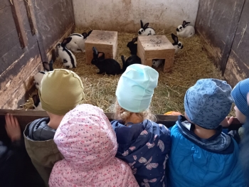 Zdjęcie WhatsApp 2025-09-29 o 07.18.40_ee827fc5