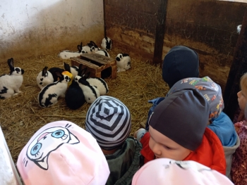 Zdjęcie WhatsApp 2025-09-29 o 07.18.50_a4d23ac7