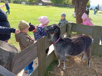 Zdjęcie WhatsApp 2025-09-29 o 07.16.33_27560232