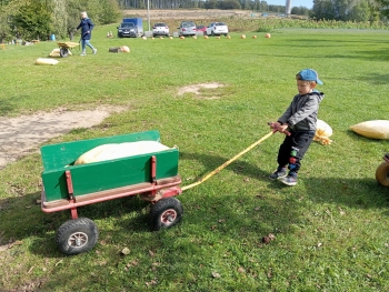 Zdjęcie WhatsApp 2025-09-29 o 07.16.09_869fa9b7