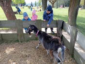 Zdjęcie WhatsApp 2025-09-29 o 07.16.43_49fe2d0c