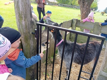 Zdjęcie WhatsApp 2025-09-29 o 07.17.00_ee0c7267