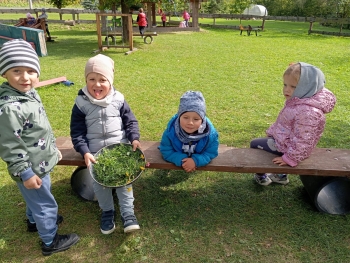 Zdjęcie WhatsApp 2025-09-29 o 07.13.03_baa9ddde