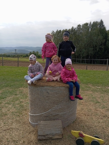 Zdjęcie WhatsApp 2025-09-29 o 07.13.08_ec2c795d