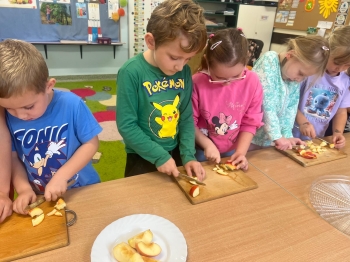 Zdjęcie WhatsApp 2025-10-09 o 19.32.45_af7a9204