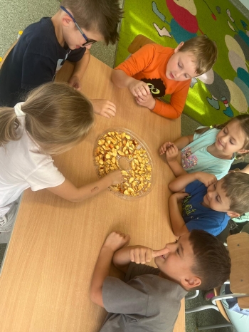 Zdjęcie WhatsApp 2025-10-09 o 19.32.46_48d1d3b2