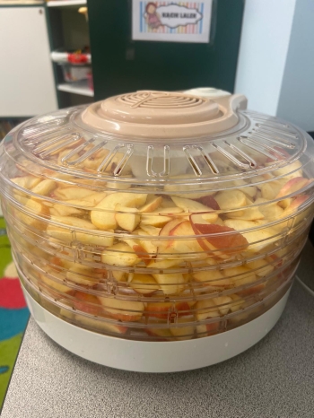 Zdjęcie WhatsApp 2025-10-09 o 19.32.46_bfd30ed6