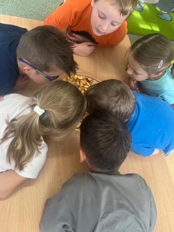 Zdjęcie WhatsApp 2025-10-09 o 19.32.46_c774f8bc