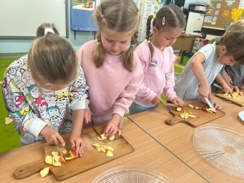 Zdjęcie WhatsApp 2025-10-09 o 19.32.45_739b920e