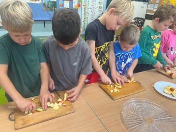 Zdjęcie WhatsApp 2025-10-09 o 19.32.45_e100c7eb