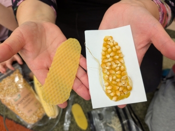 Zdjęcie WhatsApp 2025-10-12 o 16.05.31_86ccd628