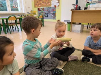 Zdjęcie WhatsApp 2025-10-12 o 16.05.32_3e5dba79