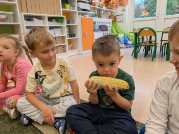 Zdjęcie WhatsApp 2025-10-12 o 16.05.32_e940ebfd