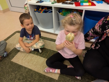 Zdjęcie WhatsApp 2025-10-12 o 16.05.33_28461436