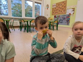 Zdjęcie WhatsApp 2025-10-12 o 16.05.31_8a51a082