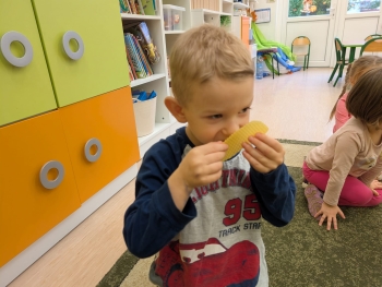 Zdjęcie WhatsApp 2025-10-12 o 16.05.31_b08d621e