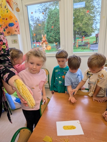 Zdjęcie WhatsApp 2025-10-12 o 16.05.30_58e7a1bc