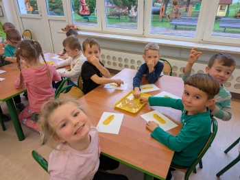 Zdjęcie WhatsApp 2025-10-12 o 16.05.29_d204fba6