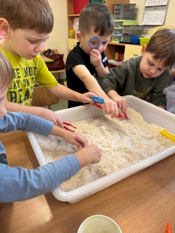 WhatsApp Image 2026-02-05 at 14.14.20 (38).jpeg