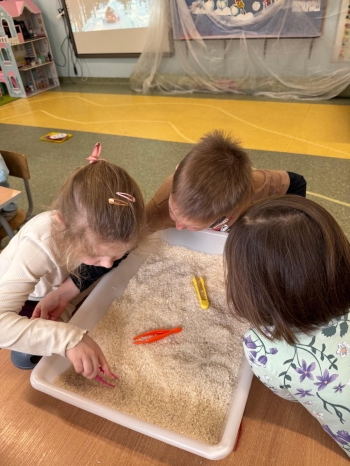 WhatsApp Image 2026-02-05 at 14.16.41.jpeg