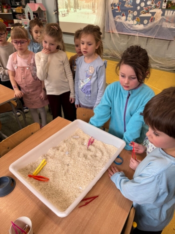 WhatsApp Image 2026-02-05 at 14.16.59 (7).jpeg