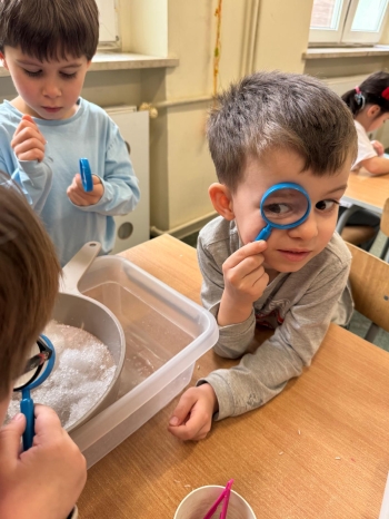 WhatsApp Image 2026-02-05 at 14.16.59.jpeg