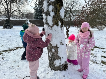 WhatsApp Image 2026-02-18 at 13.47.43 (10).jpeg