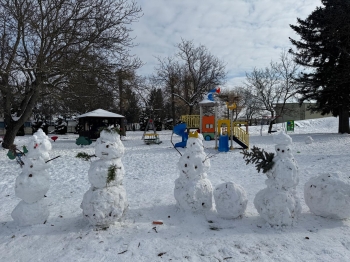 WhatsApp Image 2026-02-18 at 08.01.53 (1).jpeg