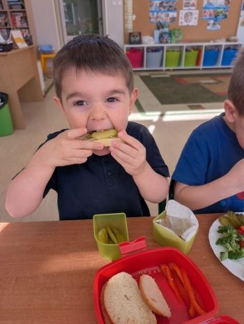 WhatsApp Image 2026-03-06 at 20.09.04.jpeg