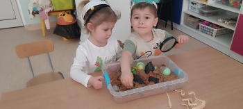 WhatsApp Image 2026-03-06 at 20.56.55 (3).jpeg